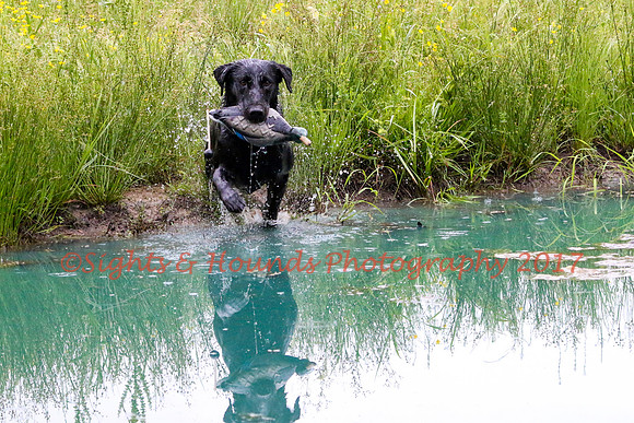 SUPER RETRIEVER SERIES MAY 2018