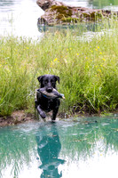 SUPER RETRIEVER SERIES MAY 2018