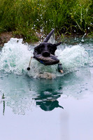 SUPER RETRIEVER SERIES MAY 2018