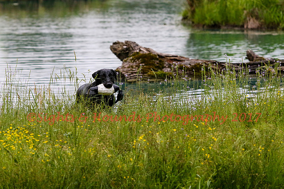 SUPER RETRIEVER SERIES MAY 2018