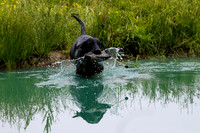 SUPER RETRIEVER SERIES MAY 2018