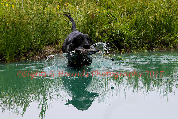 SUPER RETRIEVER SERIES MAY 2018