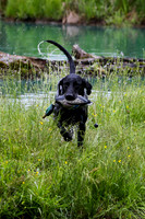 SUPER RETRIEVER SERIES MAY 2018