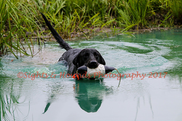 SUPER RETRIEVER SERIES MAY 2018