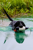 SUPER RETRIEVER SERIES MAY 2018