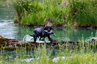 SUPER RETRIEVER SERIES MAY 2018