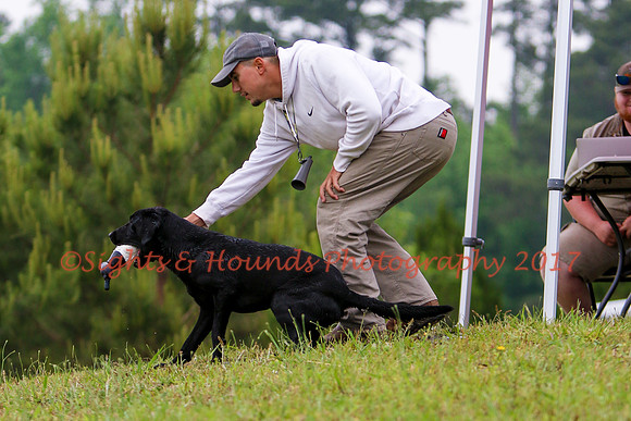 SUPER RETRIEVER SERIES MAY 2018