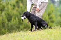 SUPER RETRIEVER SERIES MAY 2018