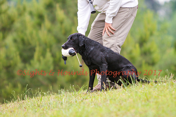 SUPER RETRIEVER SERIES MAY 2018