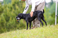 SUPER RETRIEVER SERIES MAY 2018