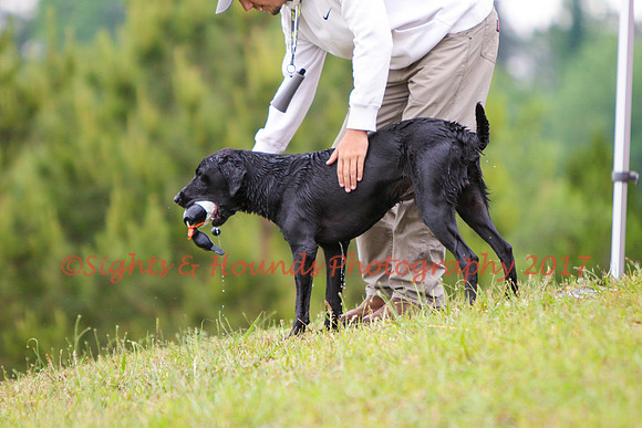 SUPER RETRIEVER SERIES MAY 2018