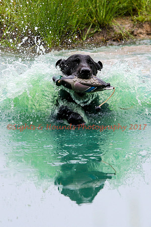 SUPER RETRIEVER SERIES MAY 2018