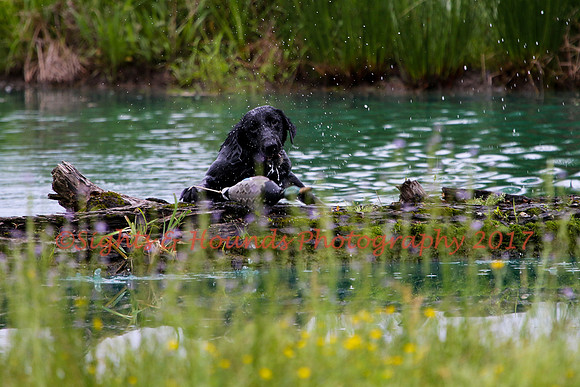 SUPER RETRIEVER SERIES MAY 2018