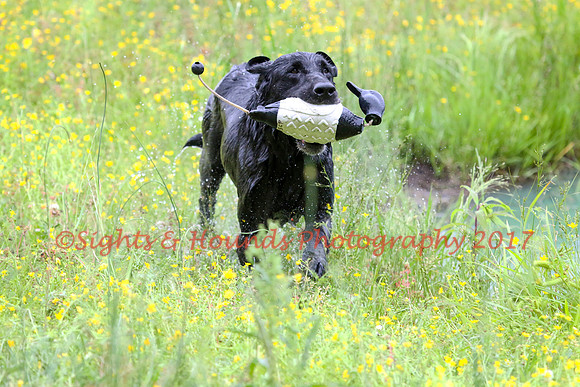 SUPER RETRIEVER SERIES MAY 2018