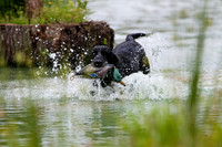 SUPER RETRIEVER SERIES MAY 2018