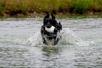 SUPER RETRIEVER SERIES MAY 2018