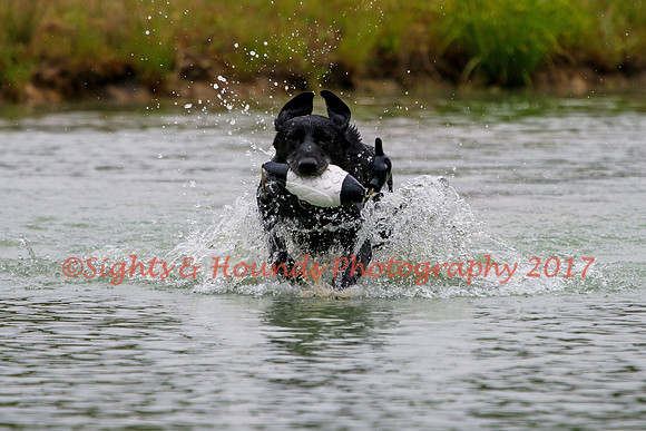 SUPER RETRIEVER SERIES MAY 2018