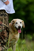 SUPER RETRIEVER SERIES MAY 2018