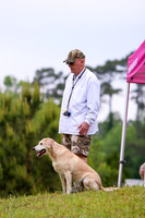 SUPER RETRIEVER SERIES MAY 2018