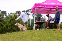 SUPER RETRIEVER SERIES MAY 2018