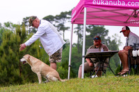 SUPER RETRIEVER SERIES MAY 2018