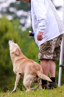 SUPER RETRIEVER SERIES MAY 2018