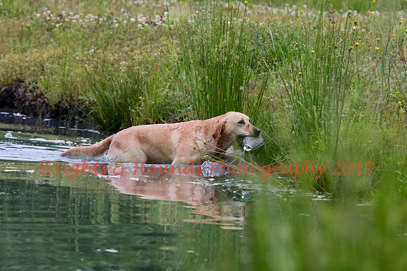 SUPER RETRIEVER SERIES MAY 2018