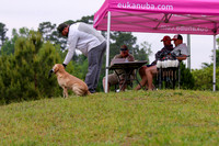 SUPER RETRIEVER SERIES MAY 2018