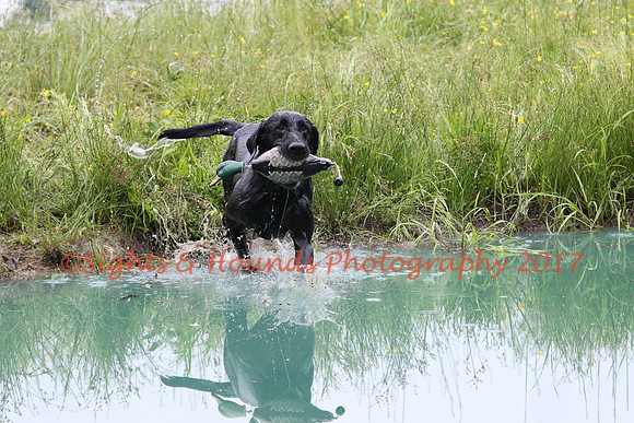 SUPER RETRIEVER SERIES MAY 2018