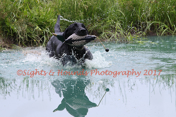 SUPER RETRIEVER SERIES MAY 2018