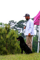 SUPER RETRIEVER SERIES MAY 2018