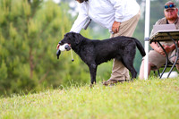 SUPER RETRIEVER SERIES MAY 2018