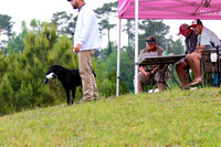 SUPER RETRIEVER SERIES MAY 2018