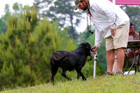 SUPER RETRIEVER SERIES MAY 2018