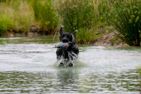 SUPER RETRIEVER SERIES MAY 2018