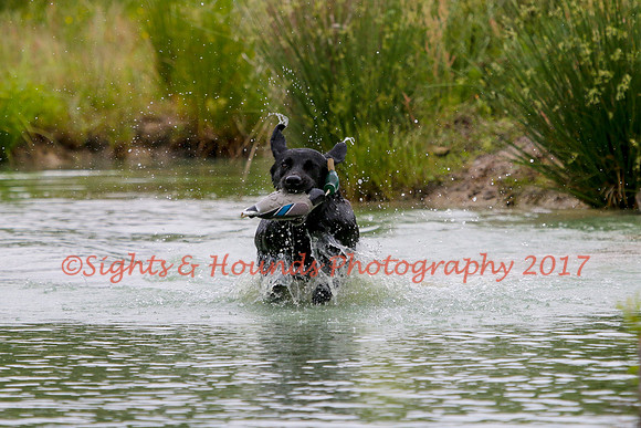 SUPER RETRIEVER SERIES MAY 2018