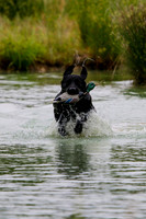 SUPER RETRIEVER SERIES MAY 2018