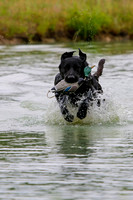 SUPER RETRIEVER SERIES MAY 2018