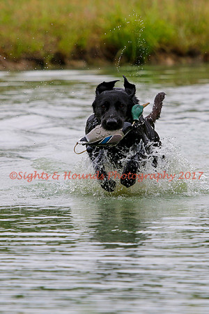 SUPER RETRIEVER SERIES MAY 2018