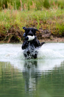 SUPER RETRIEVER SERIES MAY 2018