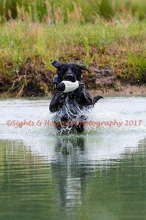 SUPER RETRIEVER SERIES MAY 2018