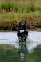 SUPER RETRIEVER SERIES MAY 2018