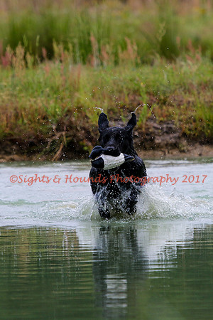 SUPER RETRIEVER SERIES MAY 2018