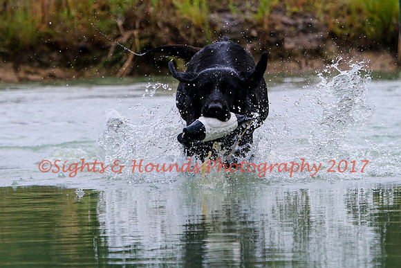 SUPER RETRIEVER SERIES MAY 2018