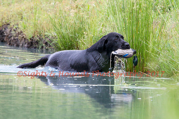 SUPER RETRIEVER SERIES MAY 2018