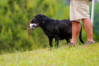 SUPER RETRIEVER SERIES MAY 2018