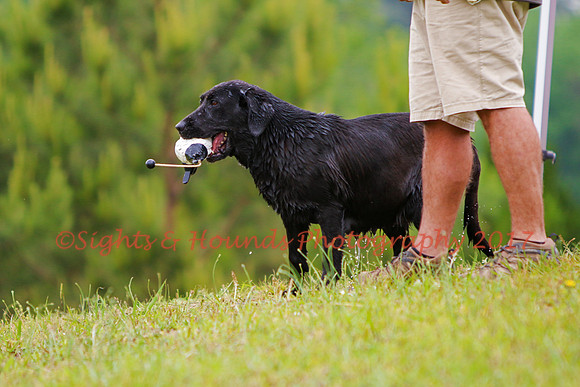 SUPER RETRIEVER SERIES MAY 2018