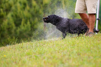 SUPER RETRIEVER SERIES MAY 2018