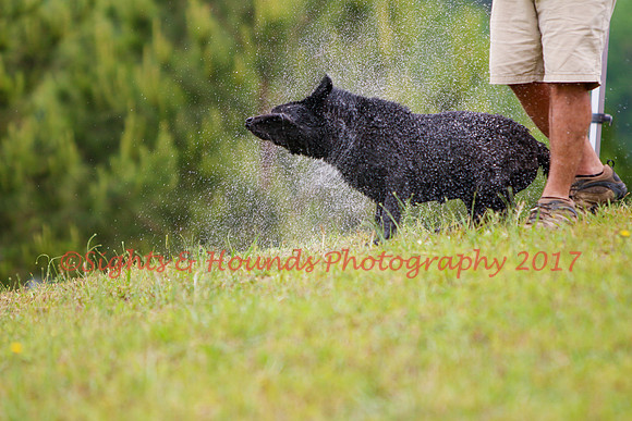 SUPER RETRIEVER SERIES MAY 2018