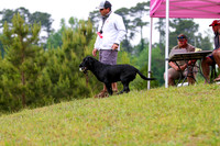 SUPER RETRIEVER SERIES MAY 2018
